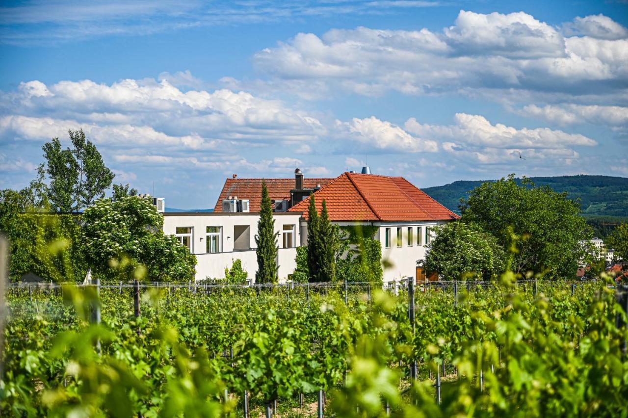Hotel Wirtshaus Leindl Krems an der Donau Esterno foto